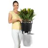 LECHUZA Planter CLASSICO LS 28 ALL-IN-ONE High-Gloss White 16040