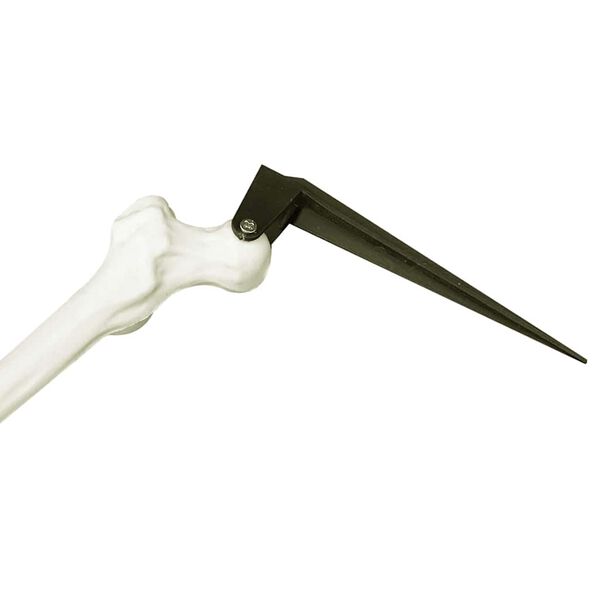 vidaXL Halloween Skeleton White 20 x 10 x 9.5 cm Plastic