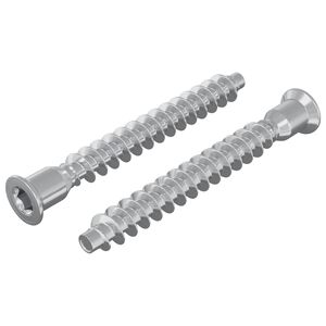vidaXL Confirmat Screws 2 pcs Silver Metal