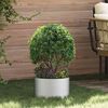 Product Thumbnail Image 2 of 9