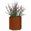 Product Thumbnail Image 3 of 11
