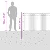vidaXL Spike Fence Black 200 x 150 cm Powder-Coated Steel