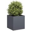 Product Thumbnail Image 2 of 9