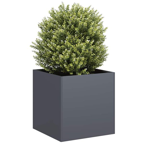 Showing Product Image 2 of 9
