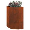 Product Thumbnail Image 3 of 14