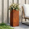Product Thumbnail Image 2 of 10