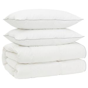 vidaXL 90% Goose Down Duvet Set FULDA 3 pcs 200 x 200 cm All Seasons