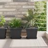 Product Thumbnail Image 2 of 12