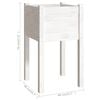 Product Thumbnail Image 7 of 7