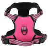 vidaXL Dog Harness with Lead & Collar Adjustable Pink L