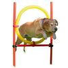 Kerbl Dog Agility Training Set Red 80758