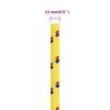 Product Thumbnail Image 6 of 6
