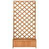 Product Thumbnail Image 4 of 8