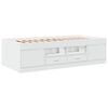 vidaXL Daybed with Drawers without Mattress White 100x200 cm