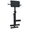vidaXL Hyperextension Bench Manual Black 100.5 x 70 x 78 cm