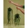Emerald Artificial Boxwood Hanging Bush in Pot 50 cm