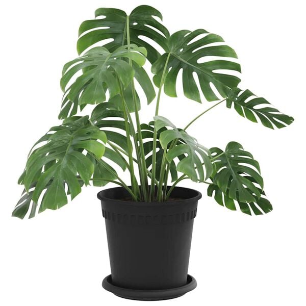 vidaXL Plant Pots 6 pcs Black &Oslash; 17 x 14 cm Plastic