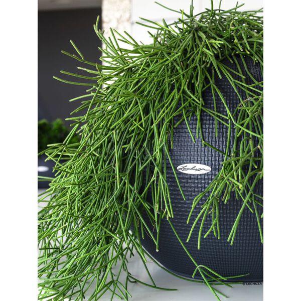 LECHUZA Planter PURO Color 50 ALL-IN-ONE Diameter 50 cm Slate