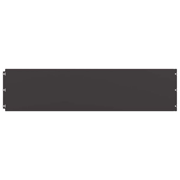 vidaXL Lawn Edgings 10 pcs Black 25x103 cm Cold-rolled Steel