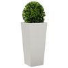 Product Thumbnail Image 3 of 10