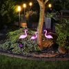 Product Thumbnail Image 3 of 5