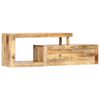 vidaXL TV Cabinet 120x30x40 cm Solid Mango Wood