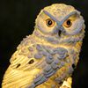 HI LED Solar Owl Garden Light White