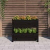Product Thumbnail Image 3 of 9