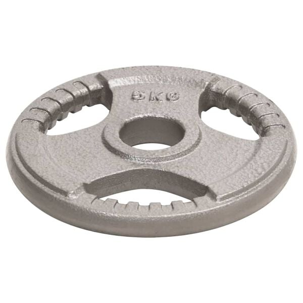 vidaXL Olympic Weight Plates 2 pcs 10 kg Cast Iron