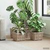 Product Thumbnail Image 2 of 9