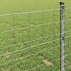 vidaXL Euro Fence 1 x 10 m PVC-coated iron