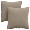 vidaXL Sofa Pillows 2 pcs Taupe 60 x 60 cm Fabric