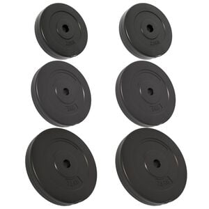 vidaXL Weight Plates 6 pcs 30 kg Cement