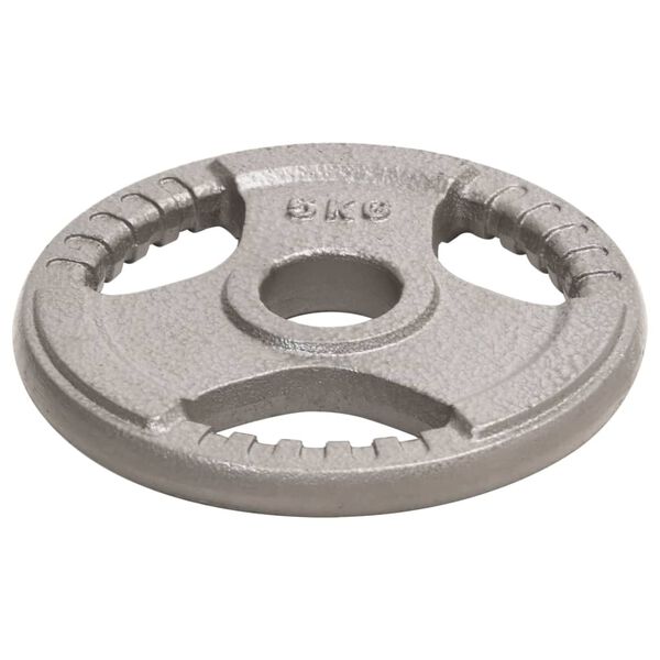 vidaXL Olympic Weight Plates 4 pcs 20 kg Cast Iron