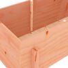 vidaXL Garden Raised Bed 160x50x57 cm Solid Wood Douglas