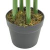 Product Thumbnail Image 3 of 4