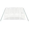 vidaXL Greenhouse with Steel Frame White 24 m&sup2; 6x4x2.85 m