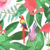 Product Thumbnail Image 6 of 7