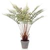 Emerald Artificial Fern Dicksonia 60 cm in Pot