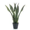 Emerald Artificial Sansevieria 55 cm in Pot