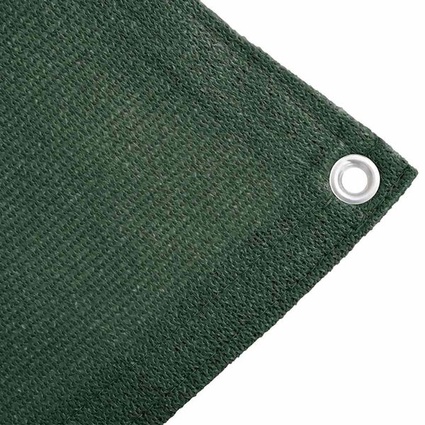 vidaXL Tent Carpet 300x400 cm HDPE Green