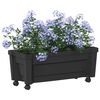 Product Thumbnail Image 2 of 9