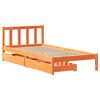 Product Thumbnail Image 3 of 11
