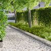 Product Thumbnail Image 2 of 10