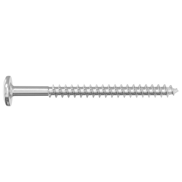 vidaXL Wood Screws 12 pcs Silver M6 x 70 mm Steel