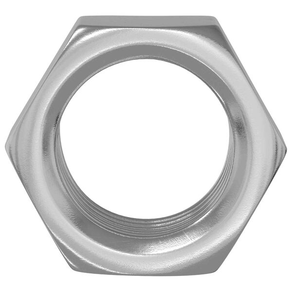 vidaXL Hex Nuts 2 pcs Silver M6 Steel