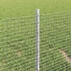 Product Thumbnail Image 4 of 13