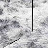 vidaXL Shaggy Rug High Pile NAVARRA Silver Grey 160x230 cm Polyester