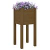 vidaXL Garden Planter Honey Brown 31x31x70 cm Solid Pinewood