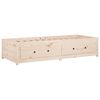 vidaXL Day Bed without Mattress 75x190 cm Small Single Small Single Solid Wood Pine